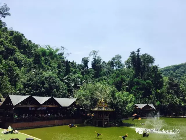 濰坊威龍電子商務精英團—云南雙飛6日游